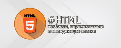 Hogyan adjunk jelölőnégyzetek, rádió gombok és legördülő listák egy html-űrlap