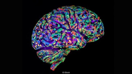 Cum și de ce oamenii de știință dezvoltă creierul artificial, știința și viața