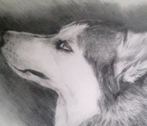 Як намалювати малюнки для початківців (намалювати) Як намалювати малюнки для початківців