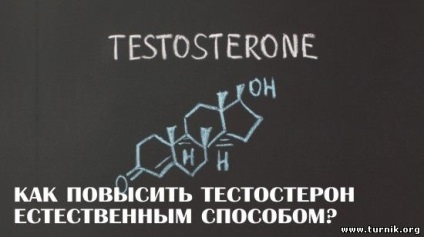 Cum de a crește testosteronul în mod natural