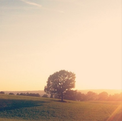 Hogyan kell használni a szűrők Instagram