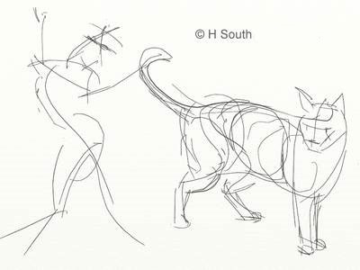 Cum să desenezi o pisică