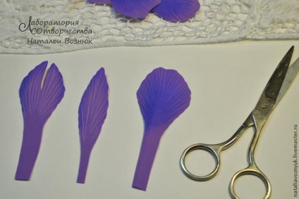 Cum să faci un iris realist - târg de maeștri - manual, manual