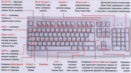 Cum să accelerați lucrarea în cuvinte