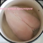 Cum să gătești o rețetă de pui cu o fotografie