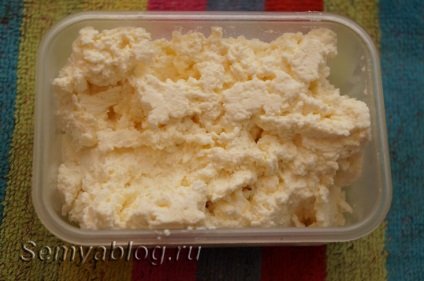 Cum fac brânzeturi blânde din lapte sau chefir într-un multivariat, blogul de familie al irlandezului polonez