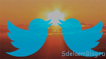 Cum se înregistrează pe Twitter, creează, configurează și promovează site-uri web