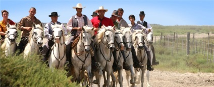 Camargue, comentarii, poze, prețuri, cum să ajungi la Camargue