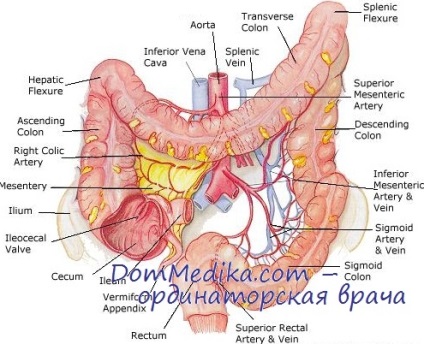 Clinica de obstrucție intestinală la copii