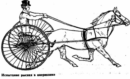 Chariotele de la antichitate la cele mai moderne - transport - catalog de articole