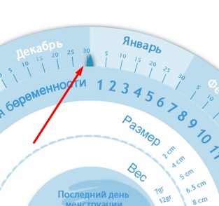 Roata instrumentului de sarcină pentru stabilirea datei nașterii, săptămânii de sarcină, dezvoltării copilului