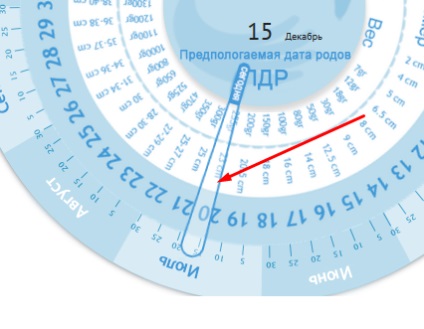 Roata instrumentului de sarcină pentru stabilirea datei nașterii, săptămânii de sarcină, dezvoltării copilului