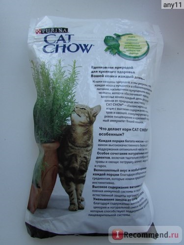 Feed cat chow - 
