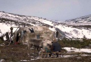 Koryak lakás - Arctic többnyelvű portál