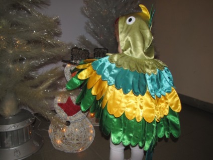 Costum Parrot cu mâinile tale făcute din hârtie