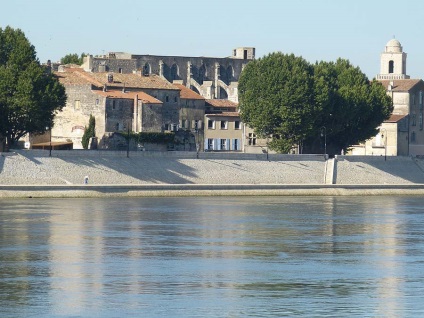 Marginea ghidului flamingo la camargue (Franța), întâmplător