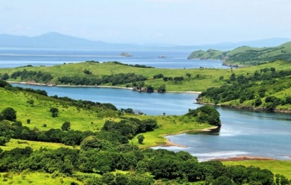 În cazul în care să val de weekend din Peninsula Crabbe, camera vladivostok