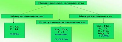 Compoziția moleculară a celulei - stadopedie