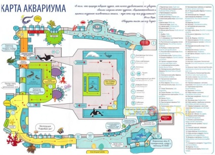 Москваріум - океанаріум в москві, метро вднх ціни на квитки, як дістатися