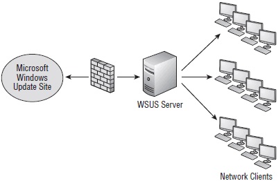 Configurarea wsus