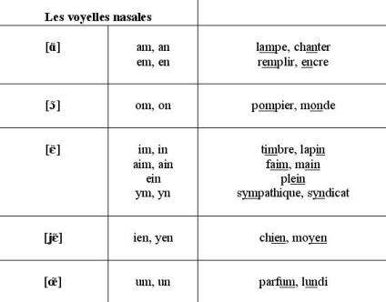 Nazale vocale, lecții franceze, online