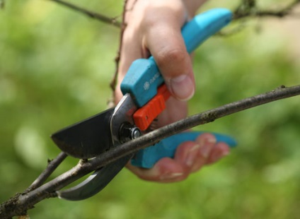 Tunderea mașinilor, uneltelor pentru tufișuri de grădină