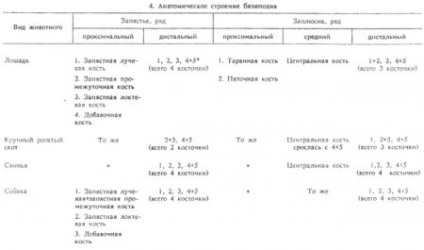 Caracteristici ale structurii oaselor zigopodice ale animalelor (partea 2) - totul despre medicina veterinară