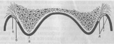 Evaluarea membranei mucoase a gurii - stomatologie ortopedică, examinare și