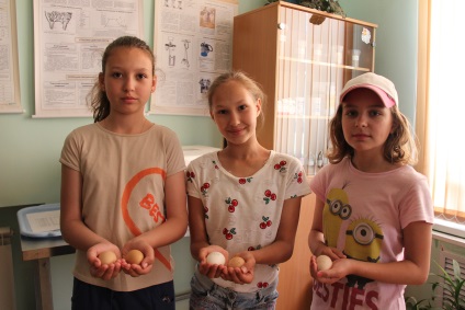 De la ou la pui, elevii de la Khabarovsk cresc puii într-un incubator, east-media