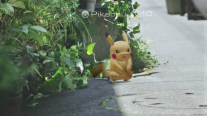 Pokemon vânătoare în pokemon du-te reguli și secrete