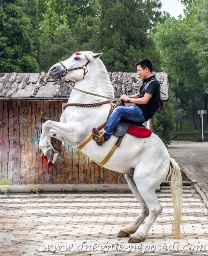 Parcul de pace de la Beijing, un jurnal de fidget