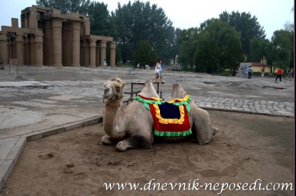 Parcul de pace de la Beijing, un jurnal de fidget