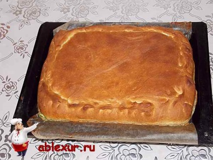 Pite zöld hagymát és a tojás recept fotókkal