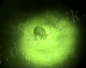 Lămpi de fund cu lumină verde pentru vânătoare - laser sau LED