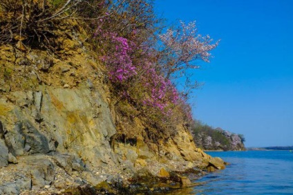 Peninsula crabbe istorie, atracții, odihnă