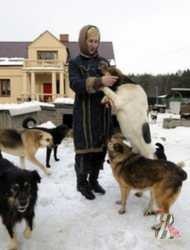 După adoptarea unei noi legi privind întreținerea câinilor și a altor animale în Polonia, sa schimbat radical