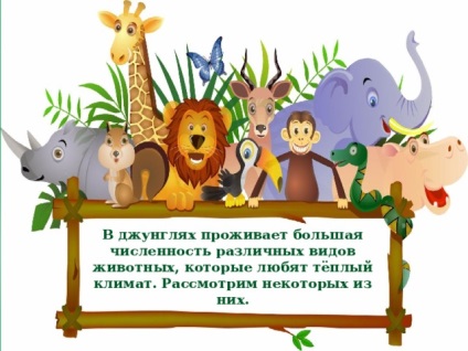 Prezentare pentru activități extra-curriculare - animale de junglă - activități post-oră, prezentări