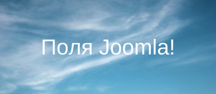 Exemple de lucru cu câmpurile Joomla încorporate sunt joomla! În rusă