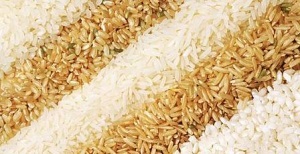 Fajok és fajták rizs - szól kenyér technológia