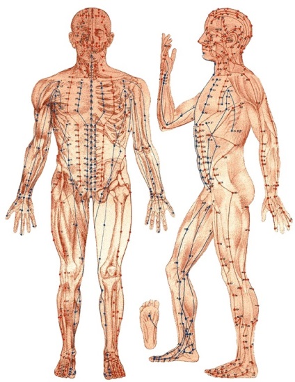 Reflexoterapia la Samara, Clinica 4 Management