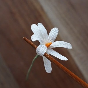 Daisies papírt, saját kezűleg