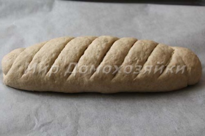 Pâine de grâu în cuptor