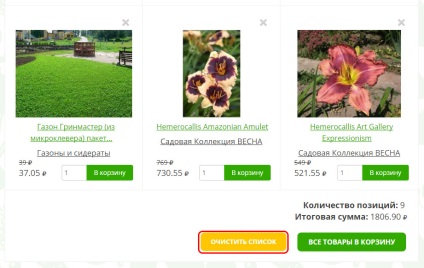 Puieți de crizanteme - vânzare în moscow