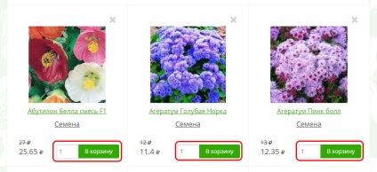 Puieți de crizanteme - vânzare în moscow