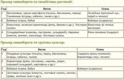 Crop въртене зеленчукови култури в градината на парцела