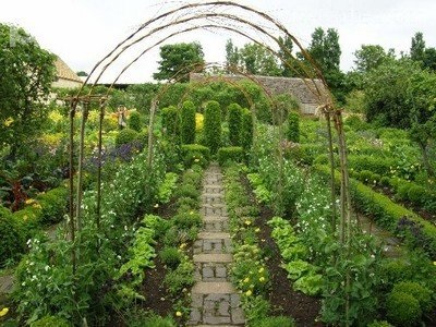 Rotația culturilor de legume în grădină pe teren