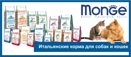 Șampoane pentru pisici, magazin online de animale de companie