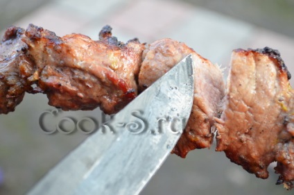 Shish kebab din carne de porc cu kiwi - rețetă pas cu pas cu feluri de mâncare de fotografie și de carne