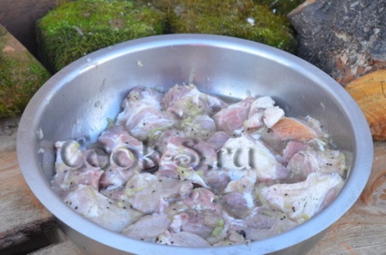Shish kebab a sertéshúsból, kiwi - lépésről-lépésre recept fotóval, húsételekkel