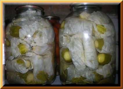 Pickles egy káposztalevél ode főzési